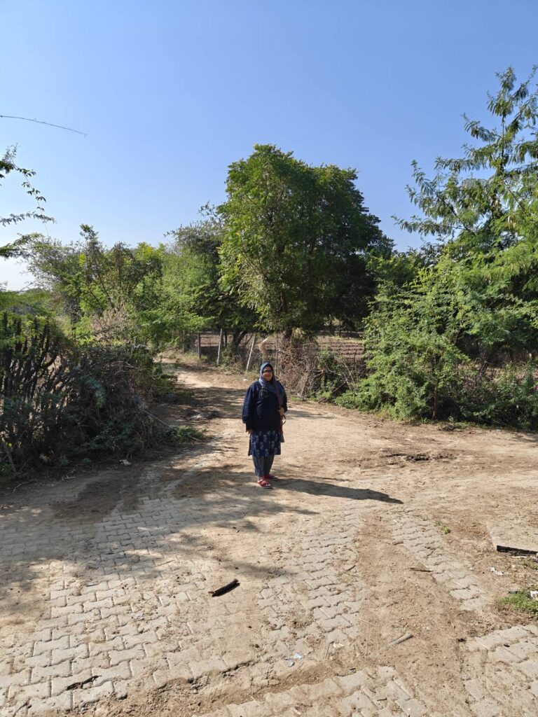 signal 2025 11 15 131622 002